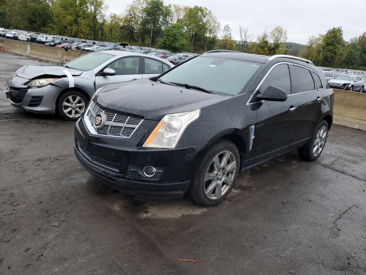 CADILLAC SRX PERFOR 2011