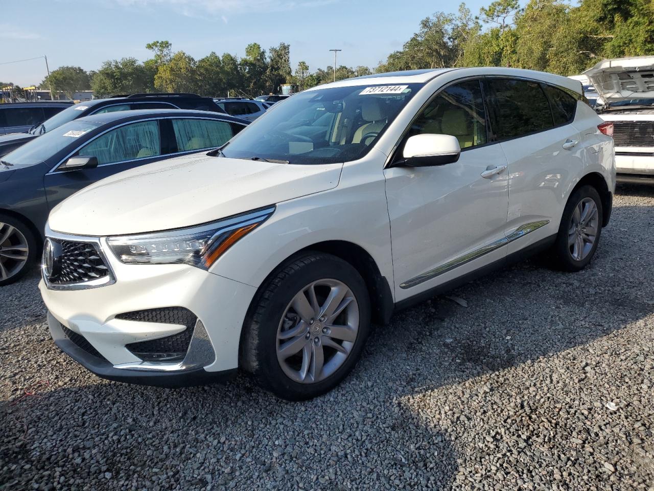 ACURA RDX ADVANC 2019