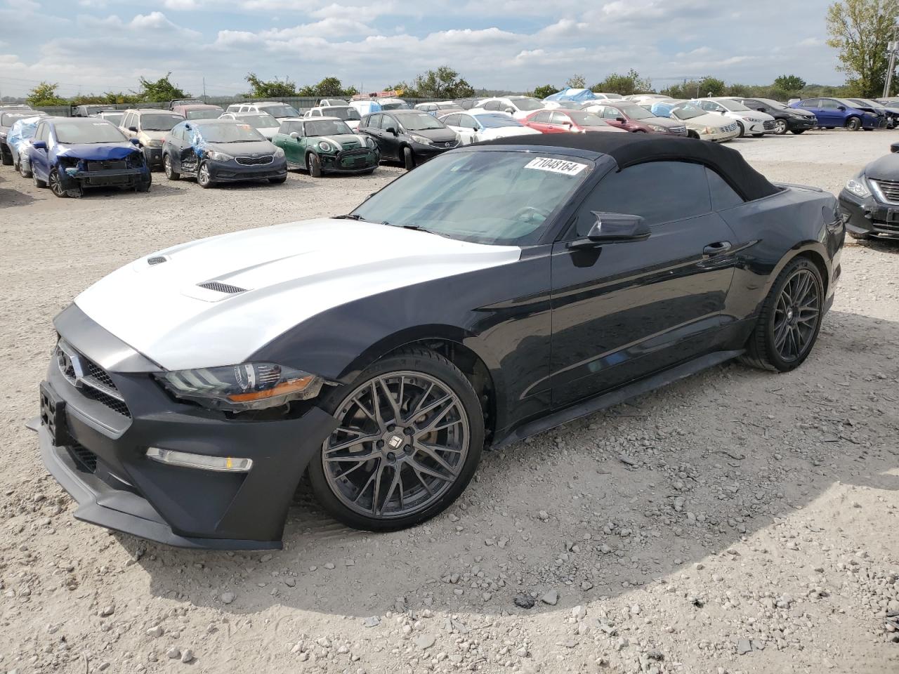 FORD MUSTANG 2019
