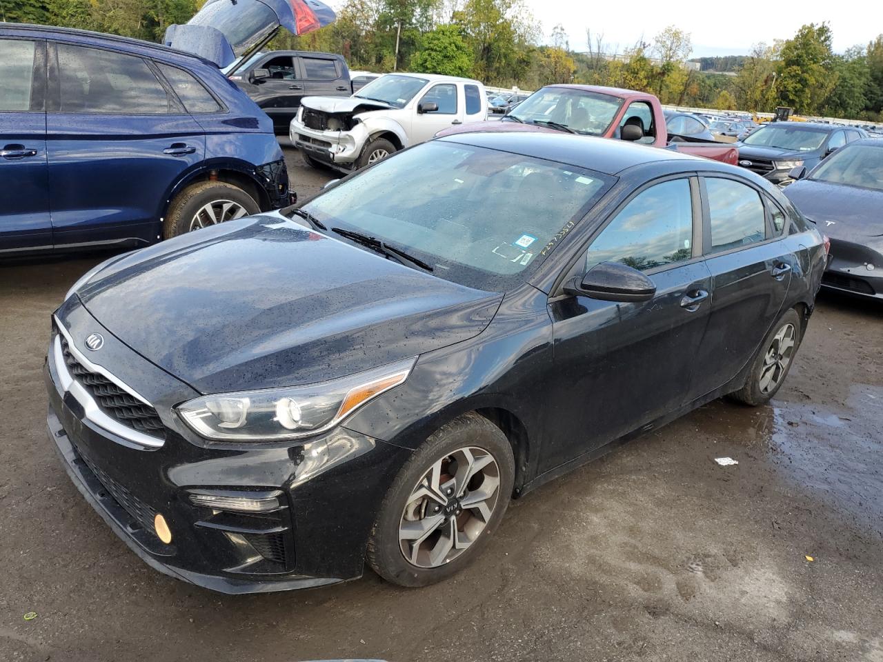 KIA FORTE FE 2020