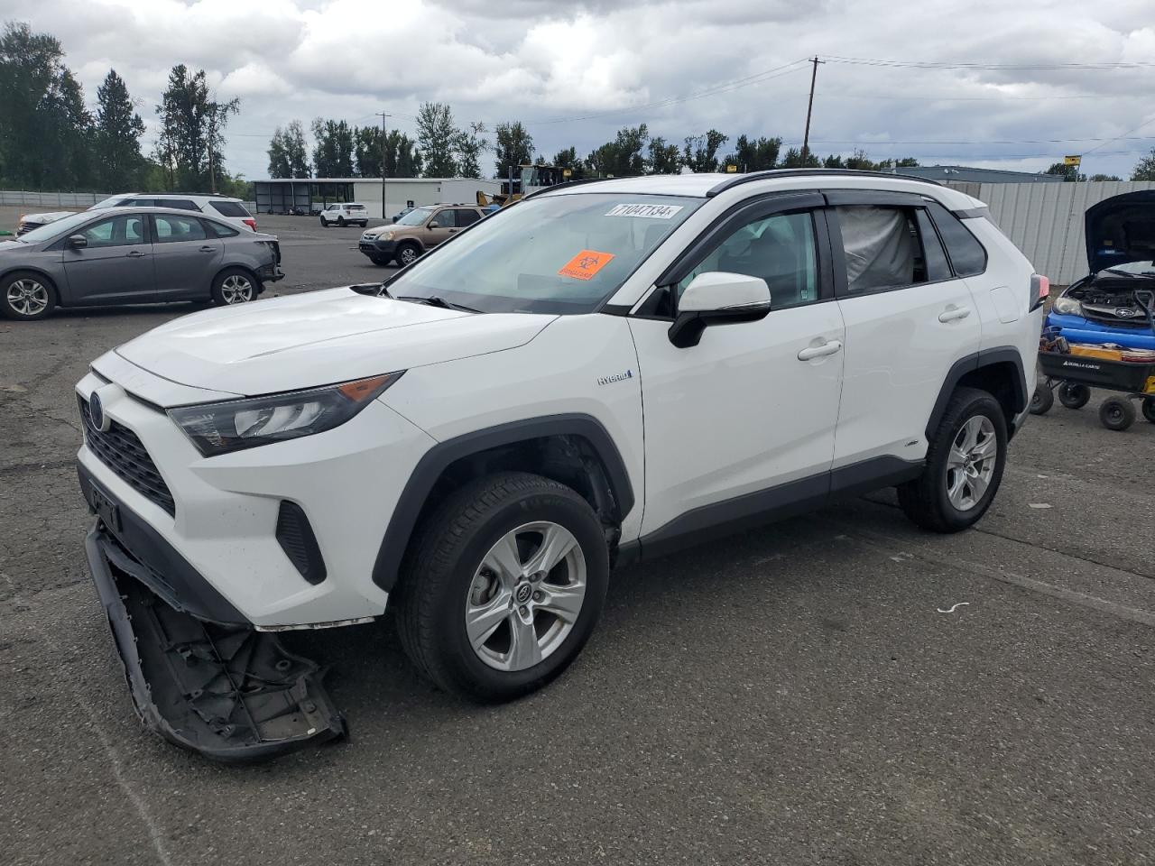 TOYOTA RAV4 LE 2019