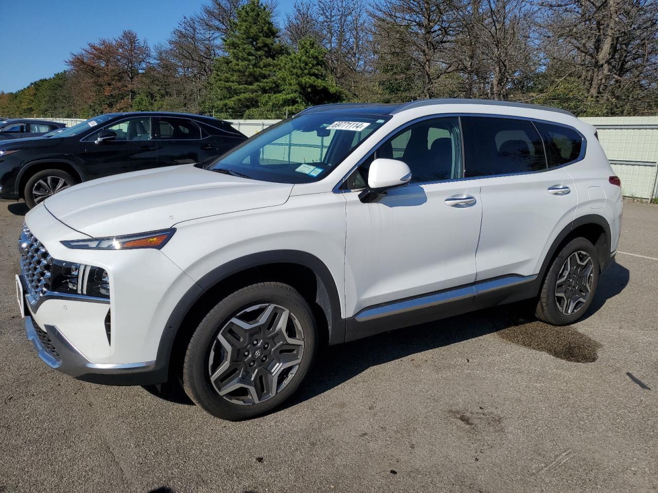 HYUNDAI SANTA FE L 2022