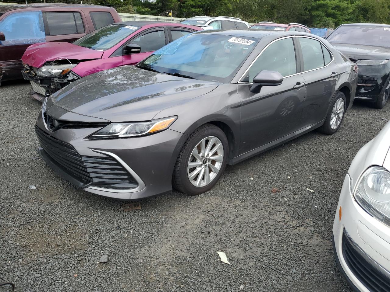 TOYOTA CAMRY LE 2021