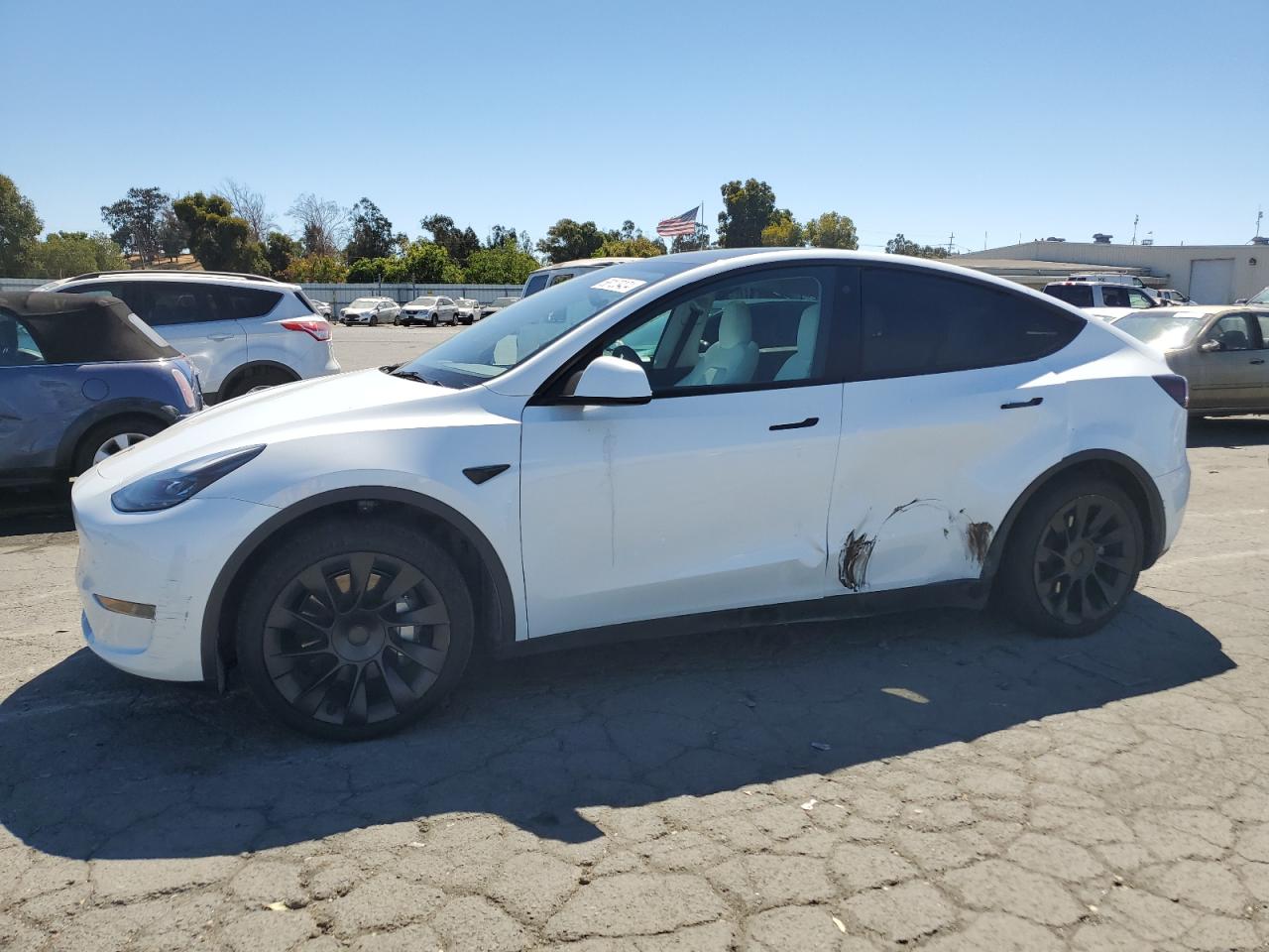 TESLA MODEL Y 2023
