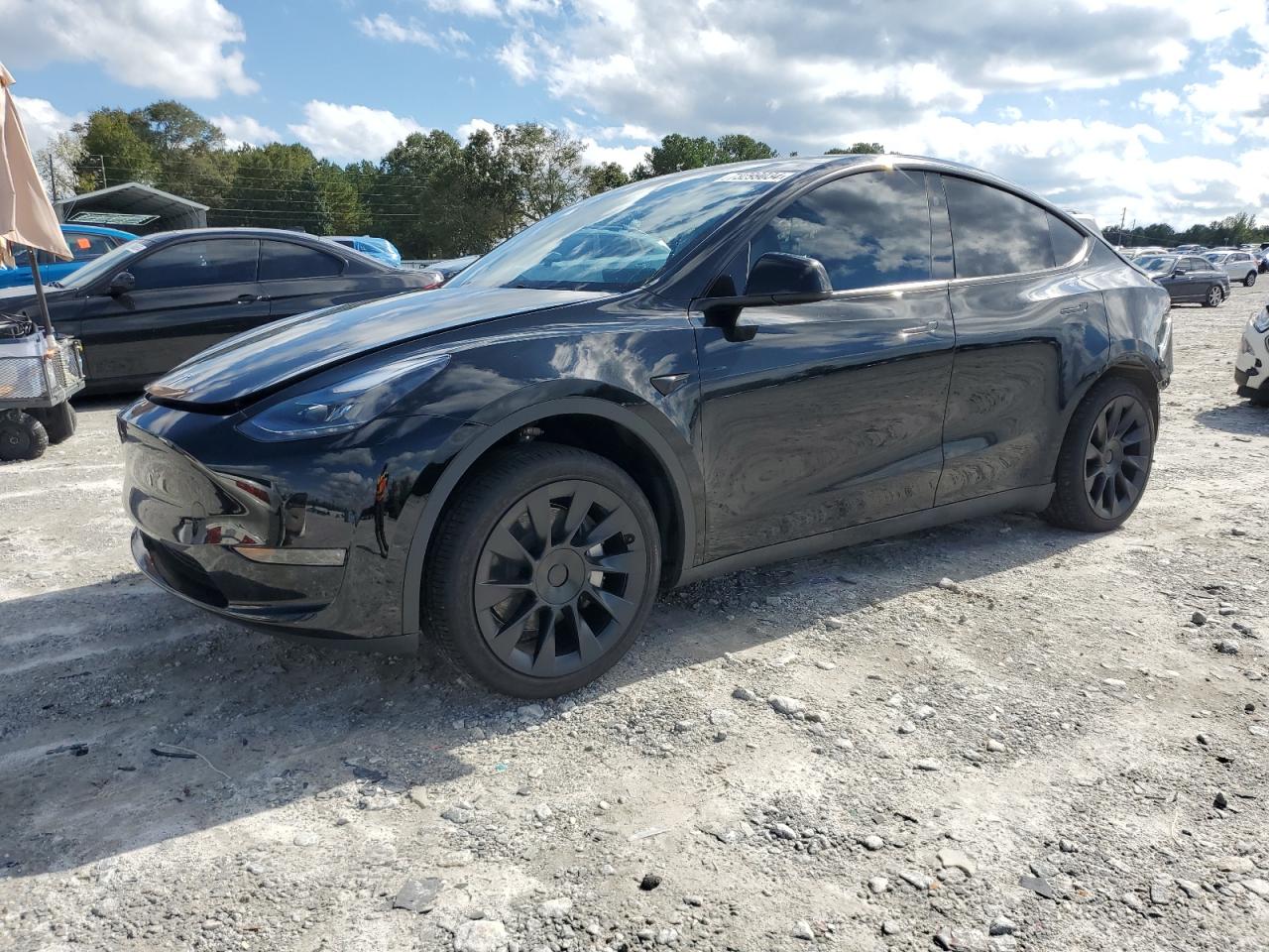 TESLA MODEL Y 2024