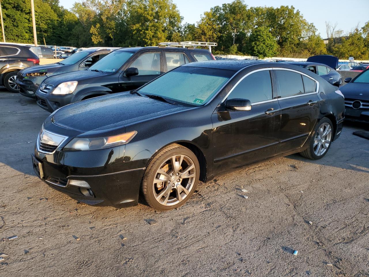 ACURA TL ADVANCE 2014