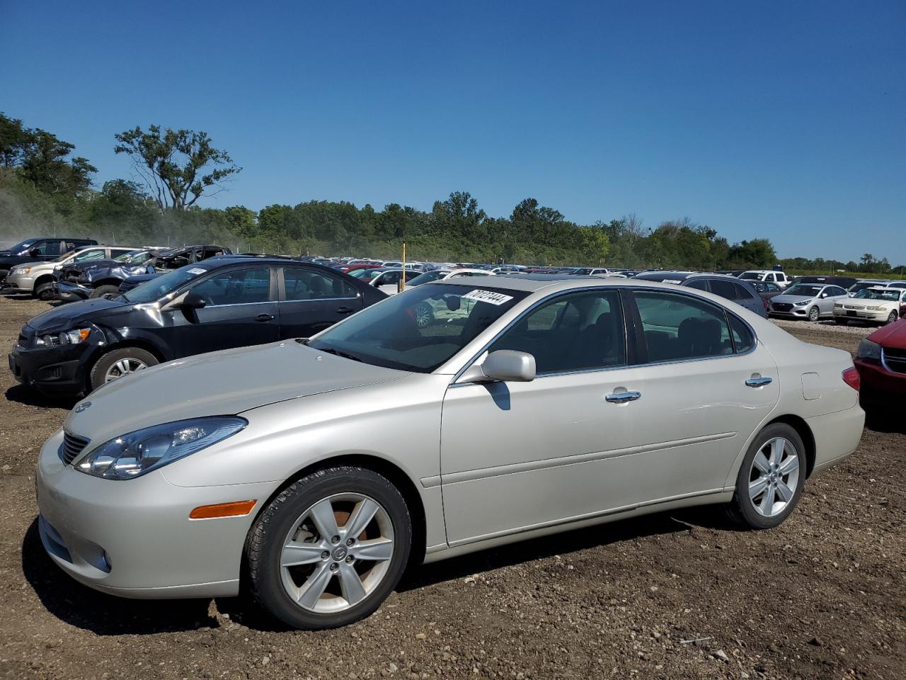 LEXUS ES 330 2005