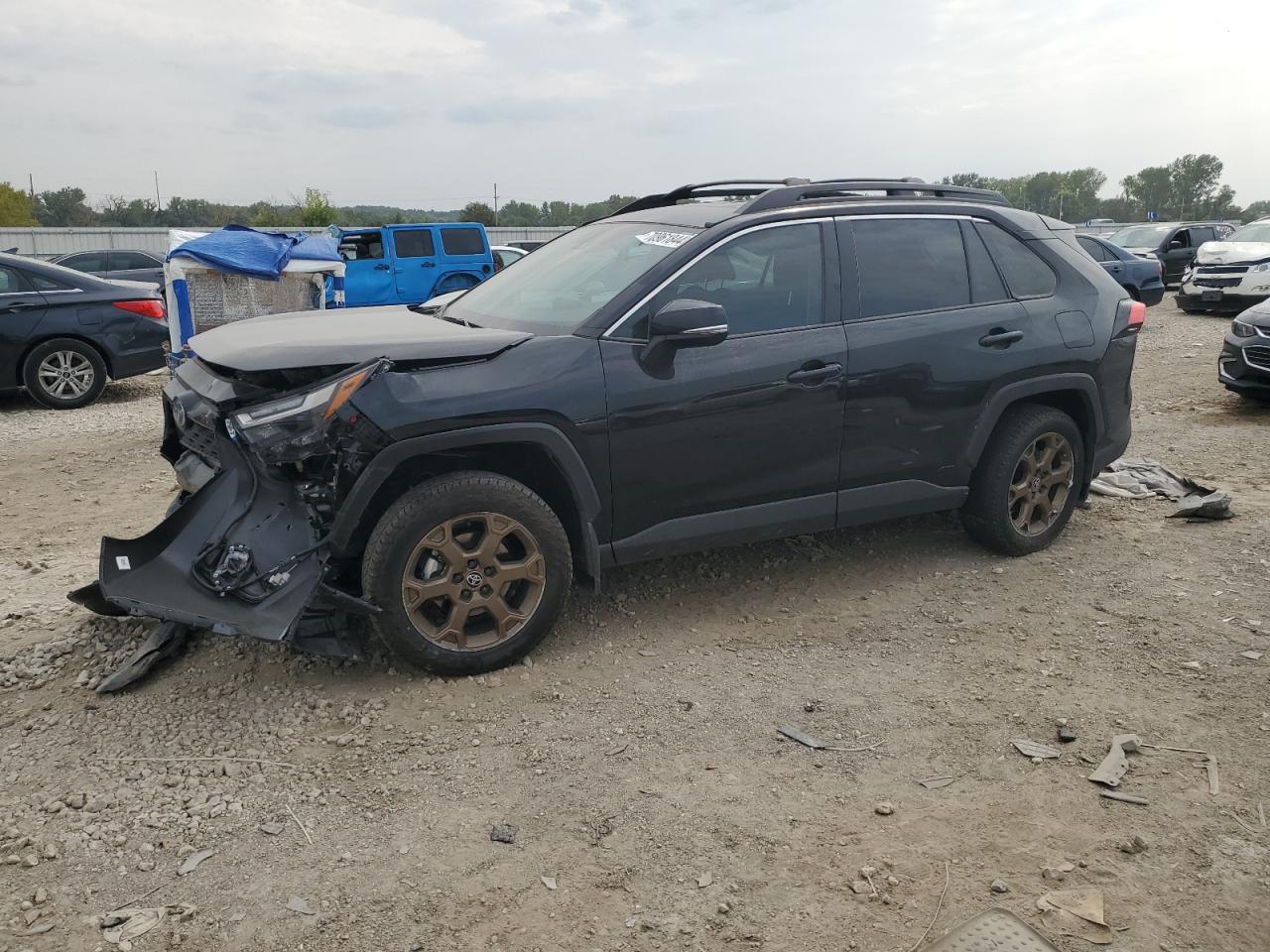 TOYOTA RAV4 WOODL 2024
