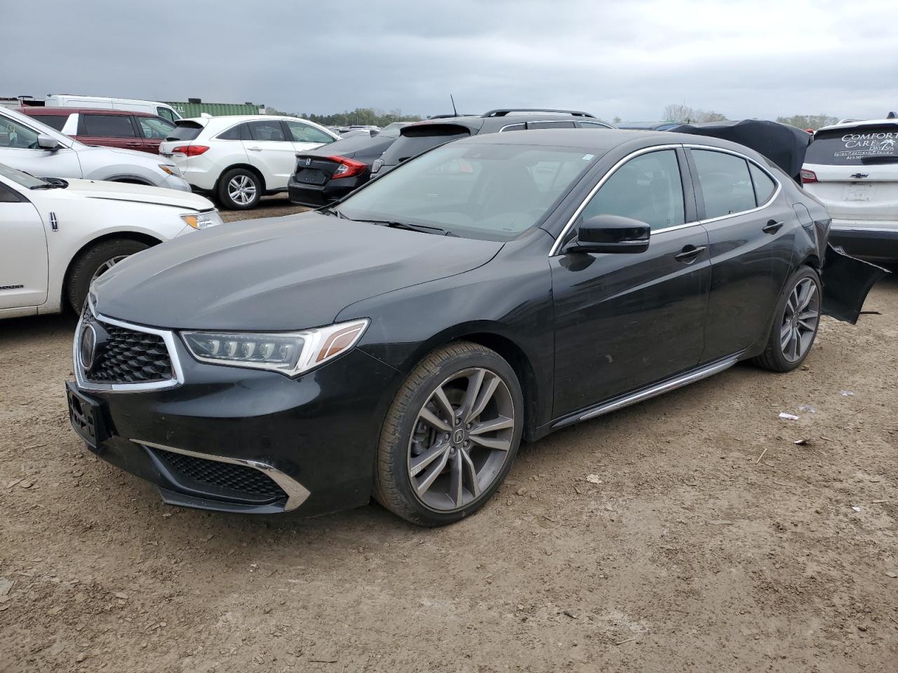 ACURA TLX TECHNO 2020