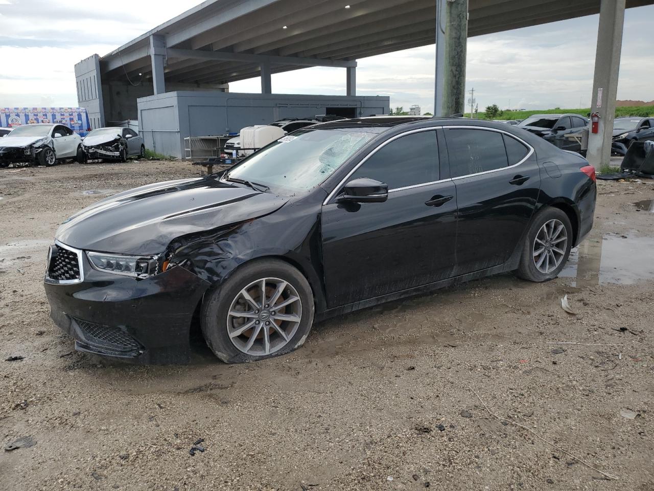 ACURA TLX 2019