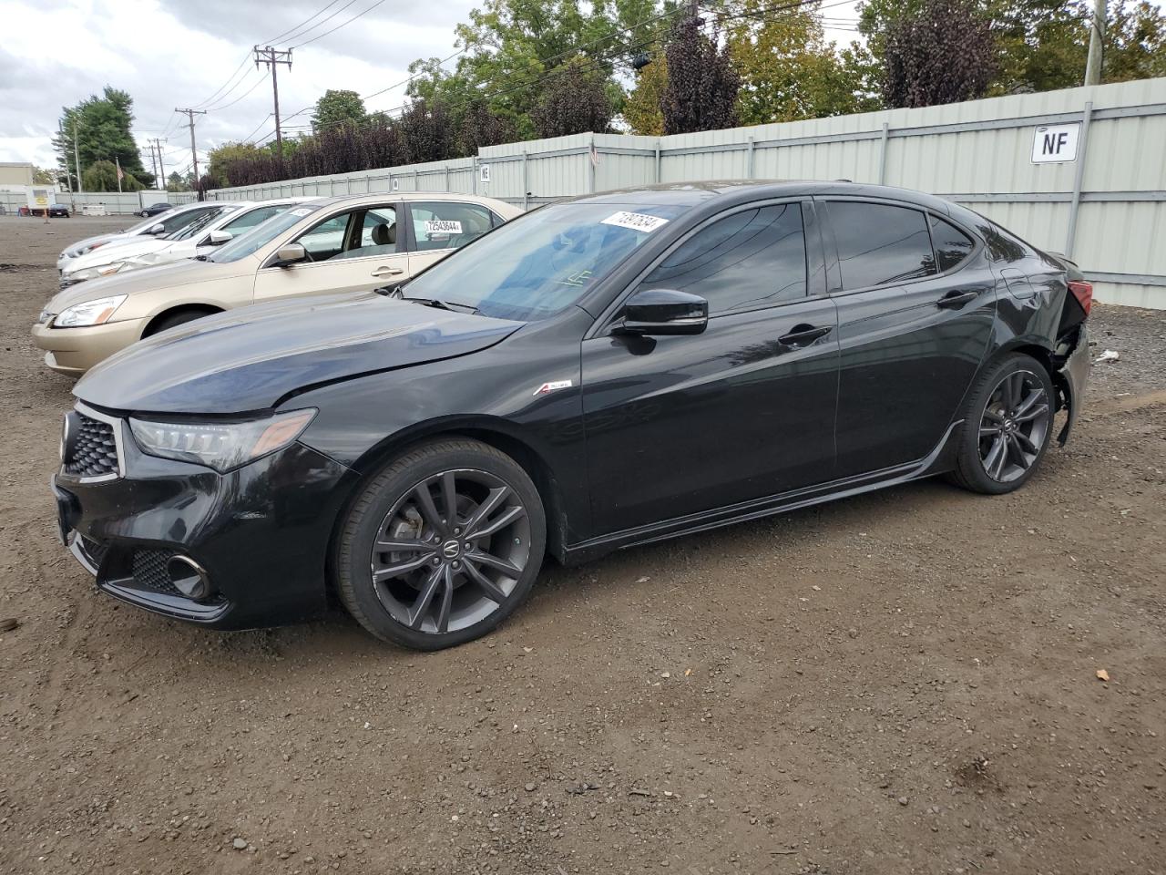 ACURA TLX TECHNO 2019