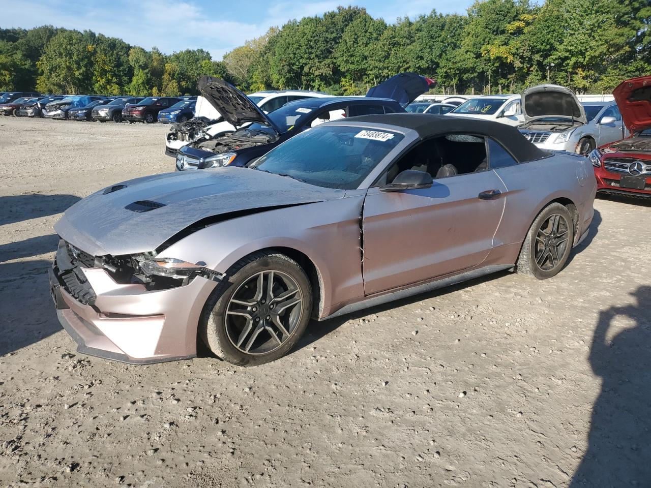 FORD MUSTANG 2020