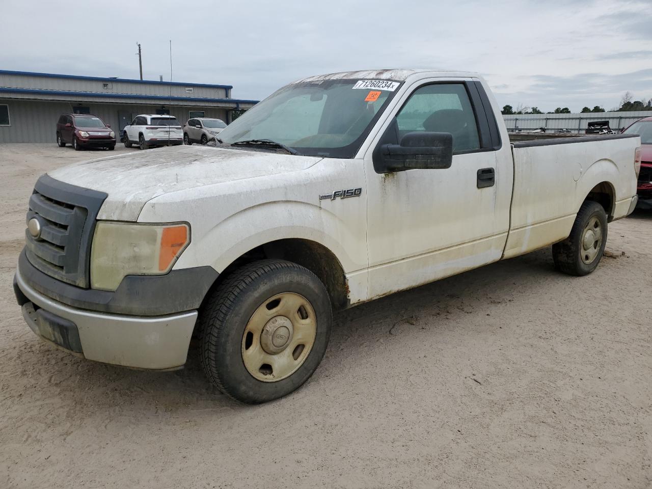 FORD F-150 2009
