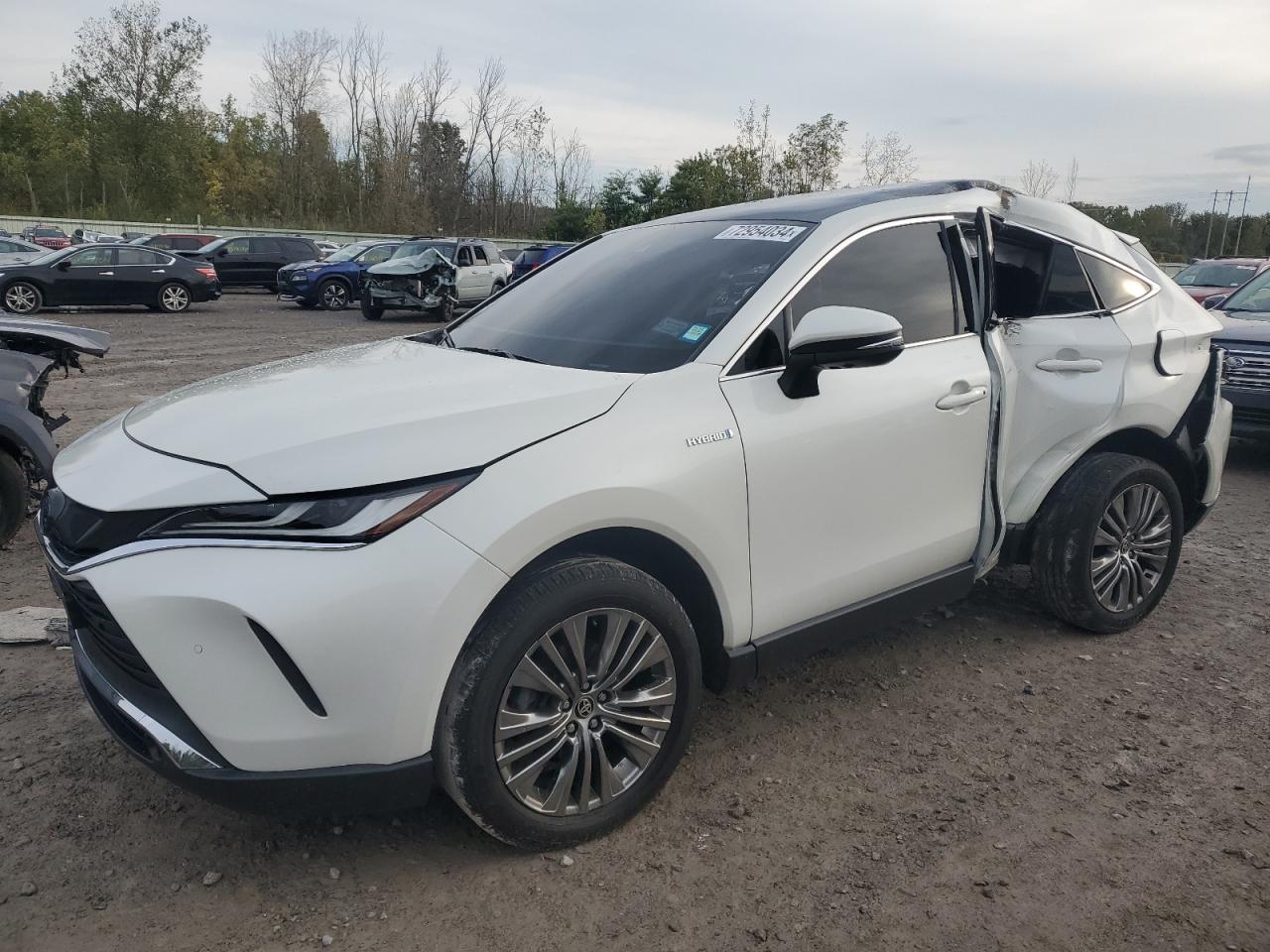 TOYOTA VENZA LE 2021
