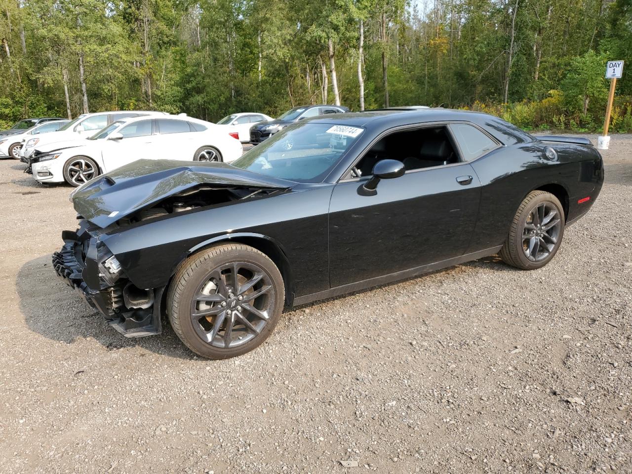 DODGE CHALLENGER 2023