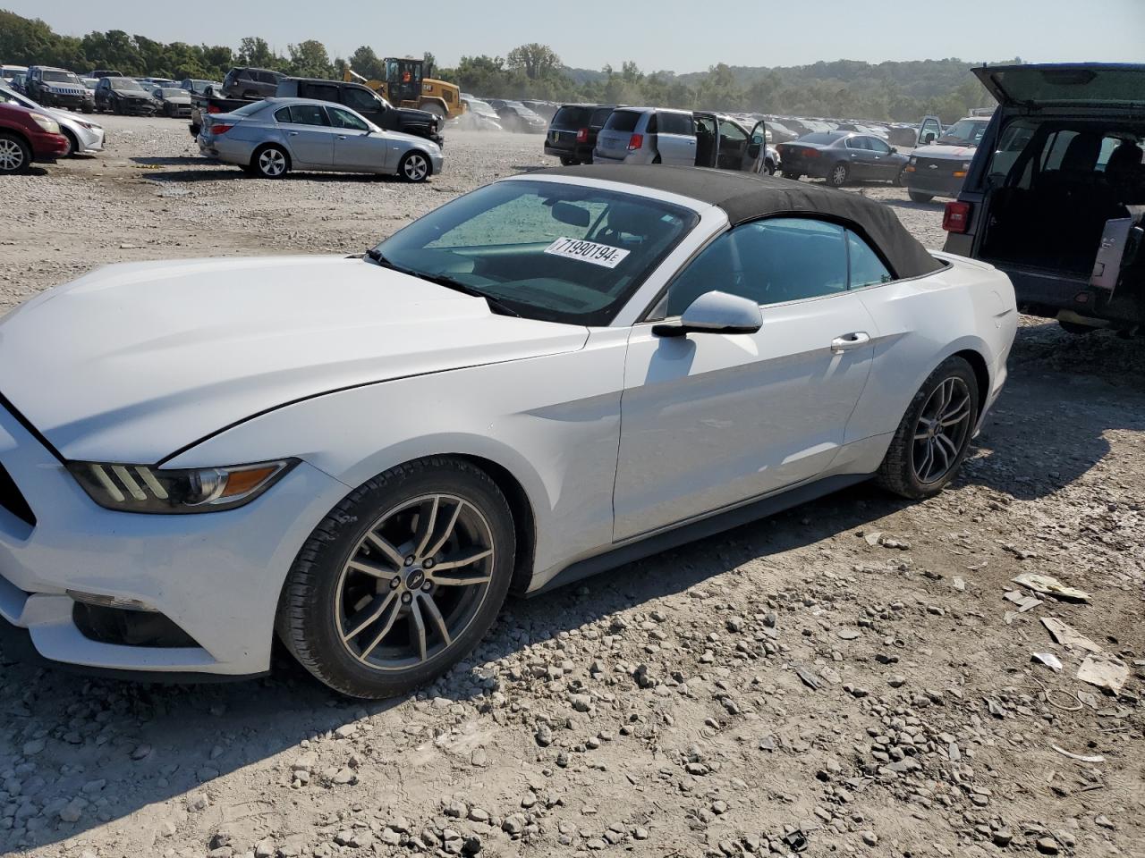 FORD MUSTANG 2015