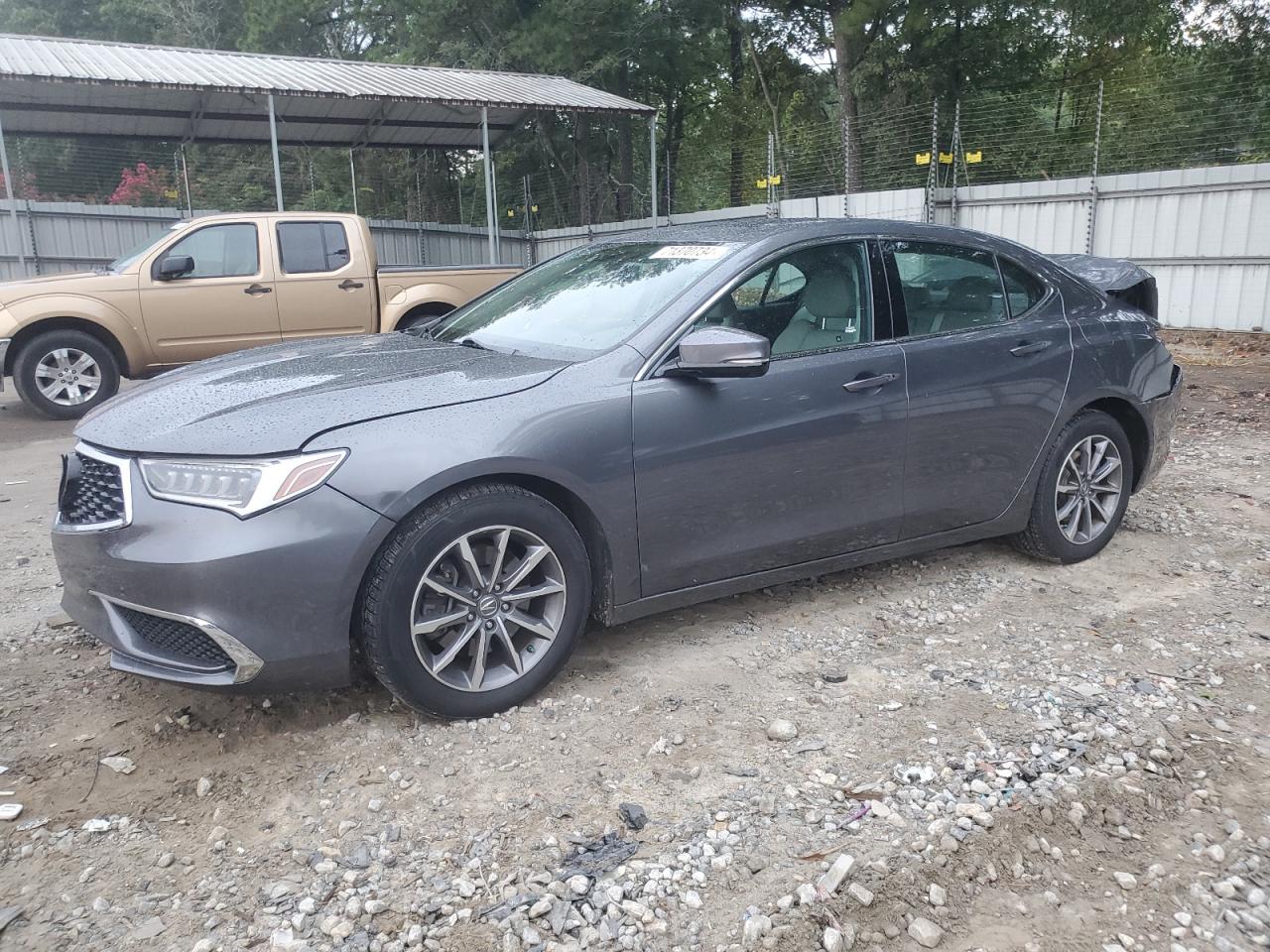 ACURA TLX TECHNO 2019
