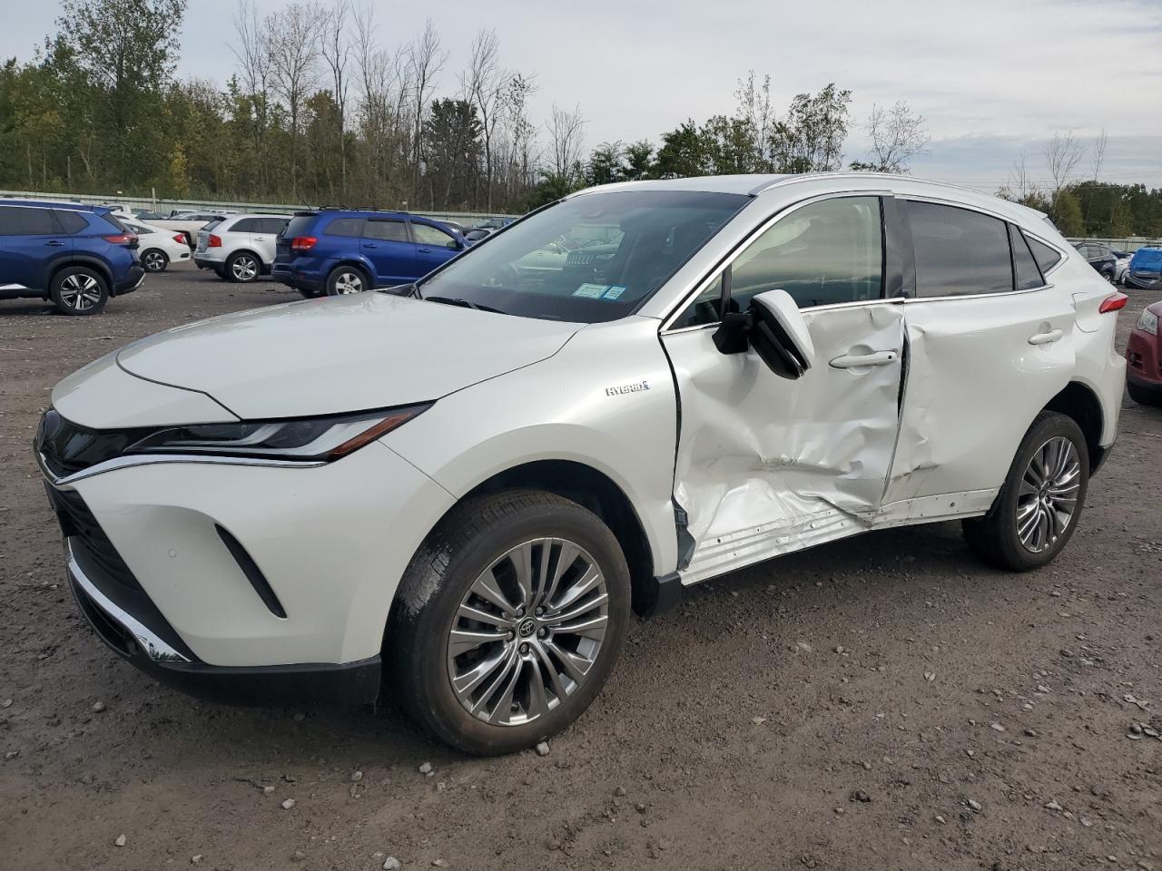 TOYOTA VENZA LE 2021