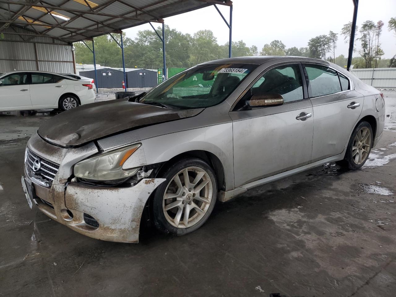 NISSAN MAXIMA 2010