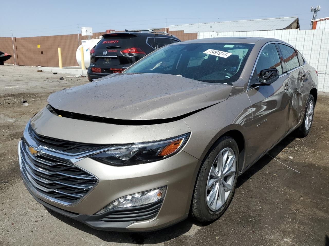 CHEVROLET Malibu Lt 2024