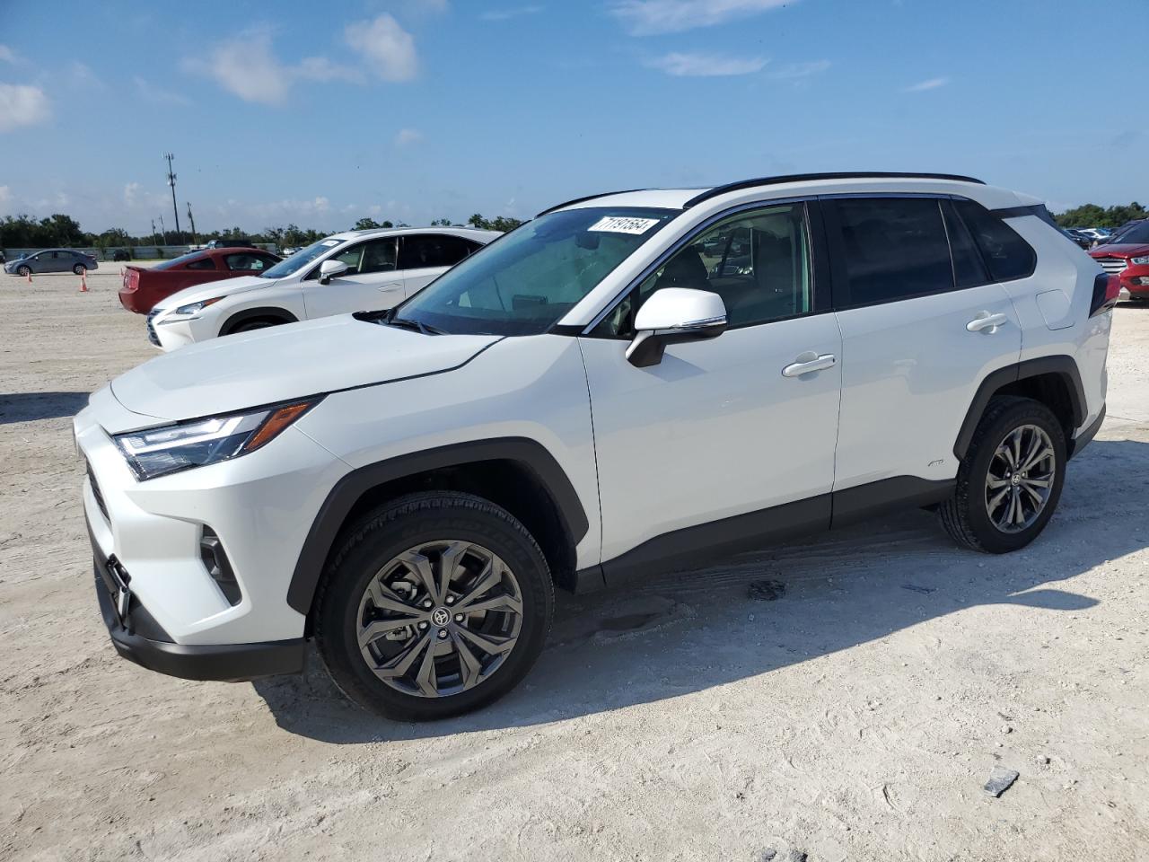 TOYOTA RAV4 XLE P 2024
