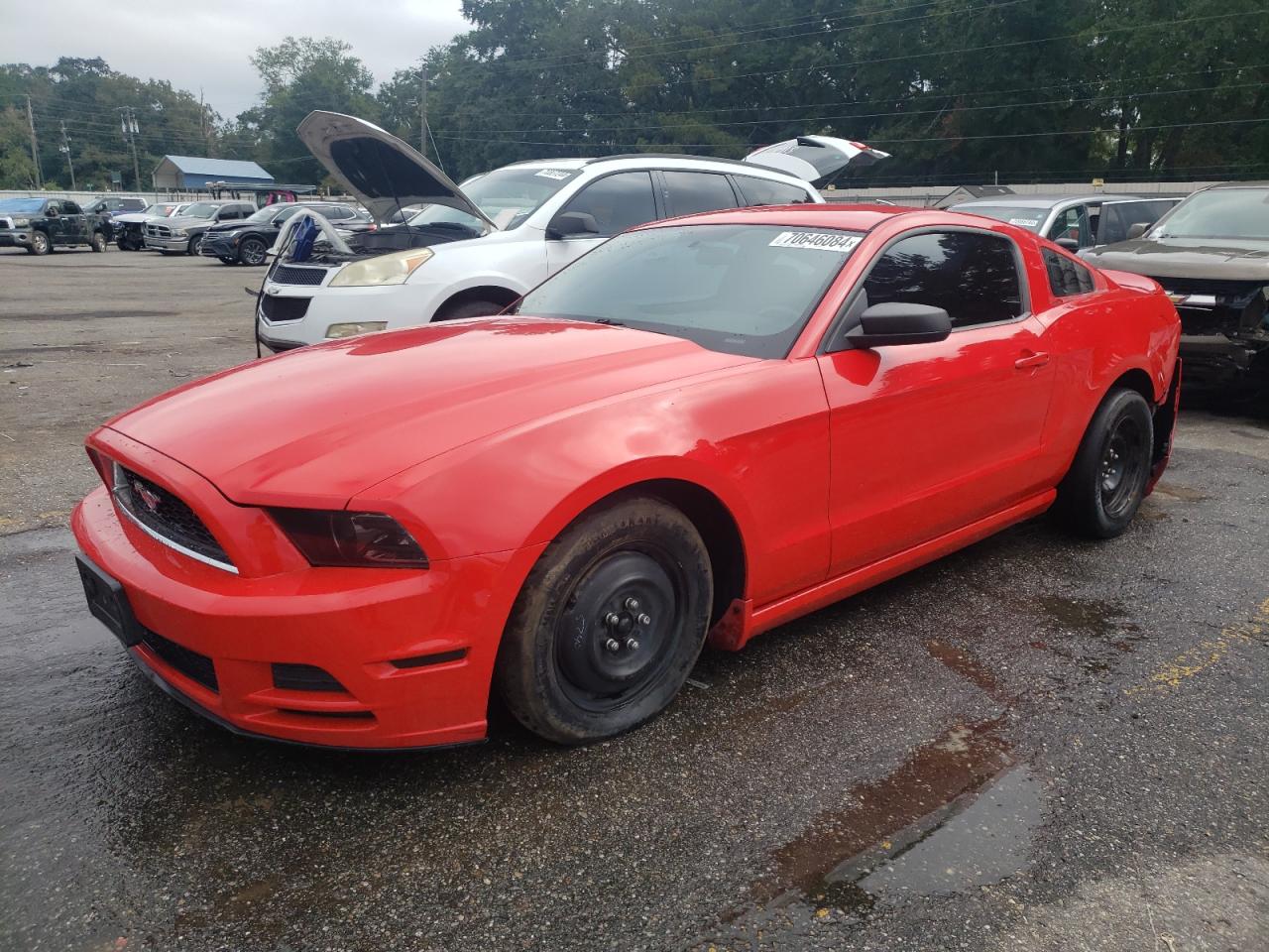 FORD MUSTANG 2013
