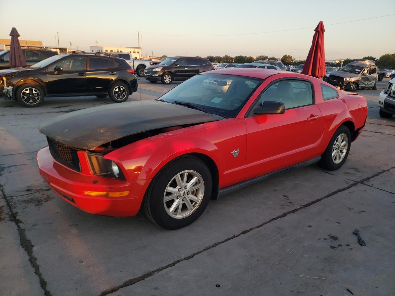 FORD MUSTANG 2009