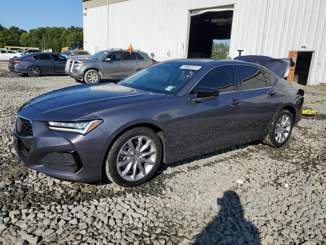 ACURA TLX 2023