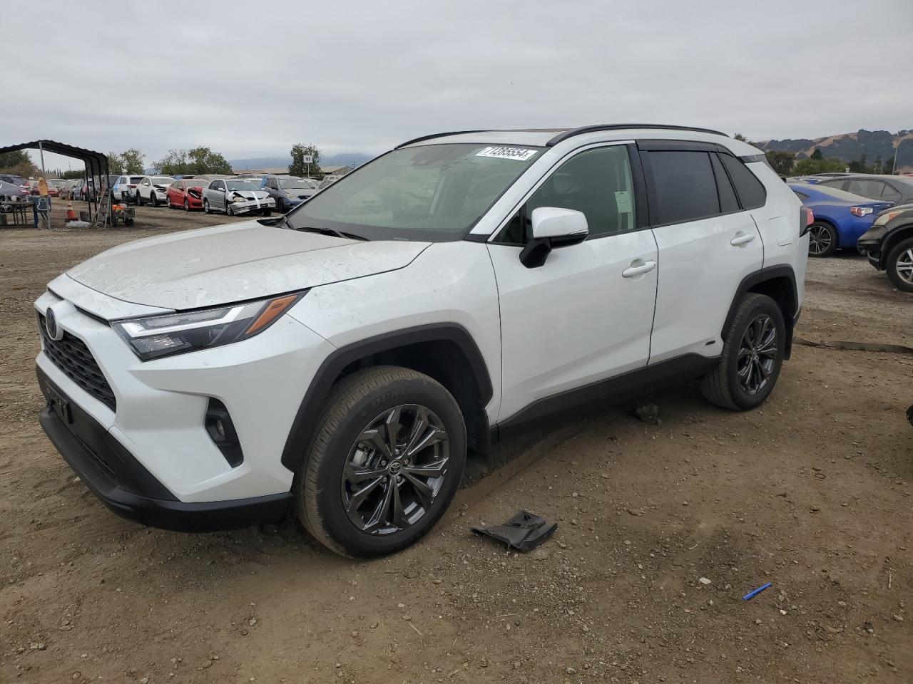 TOYOTA RAV4 XLE P 2023