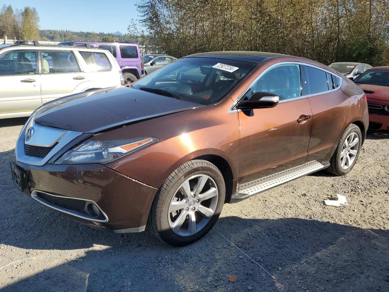 ACURA ZDX TECHNO 2010