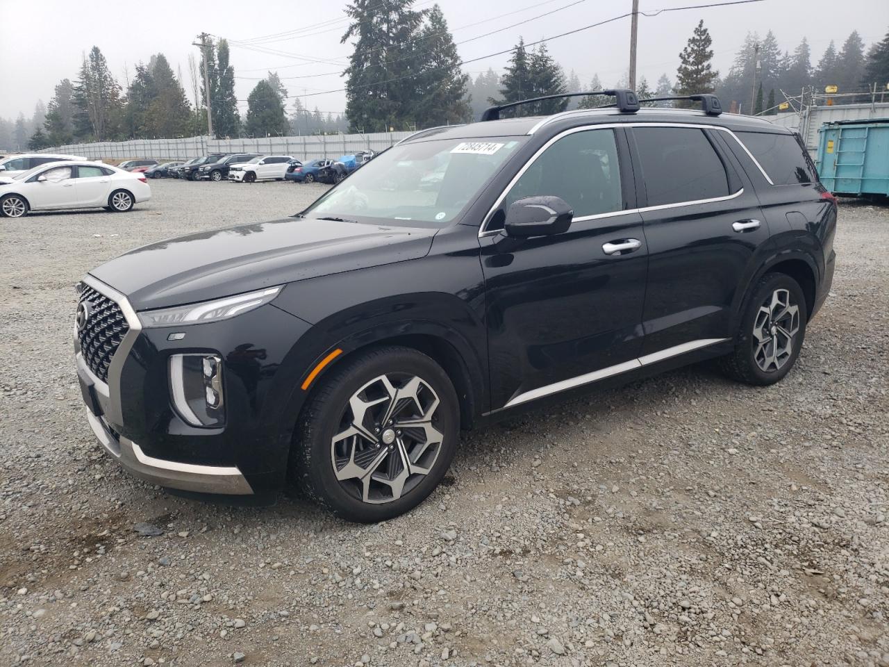 HYUNDAI PALISADE C 2022