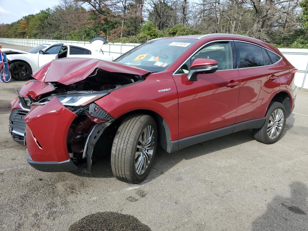 TOYOTA VENZA LE 2021