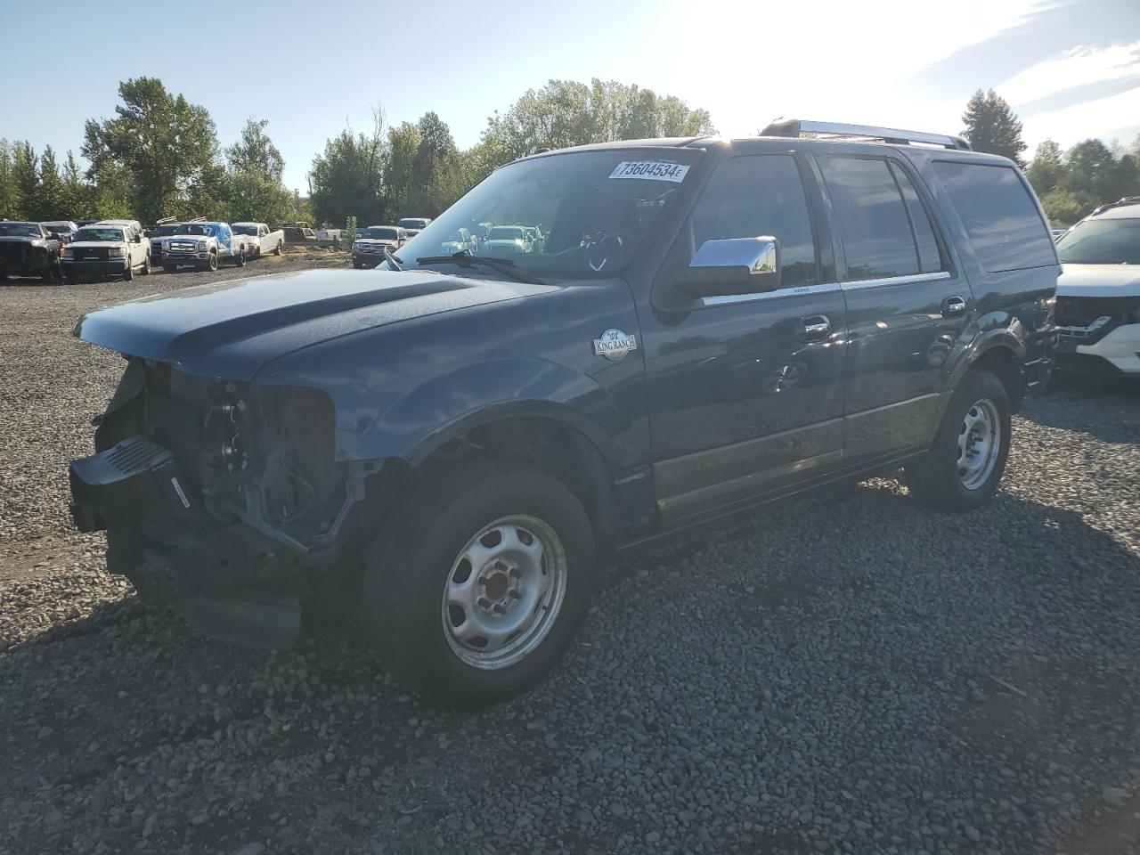 FORD EXPEDITION 2017