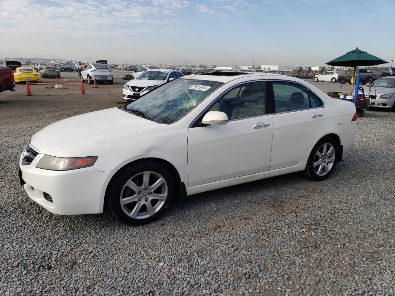 ACURA Tsx 2005