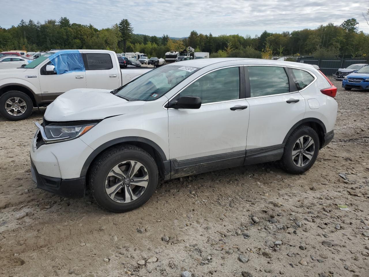 HONDA CR-V 2019