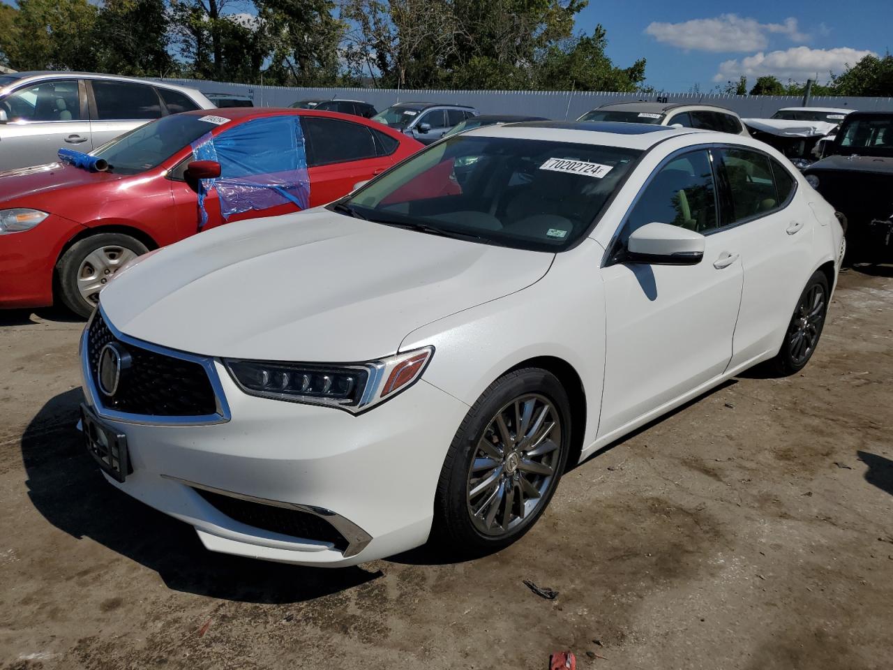 ACURA TLX 2019