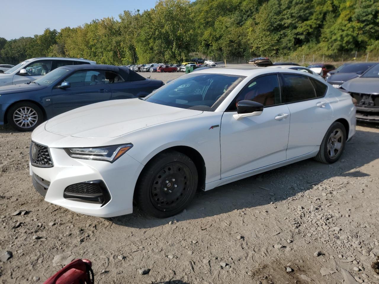 ACURA TLX TECH A 2023
