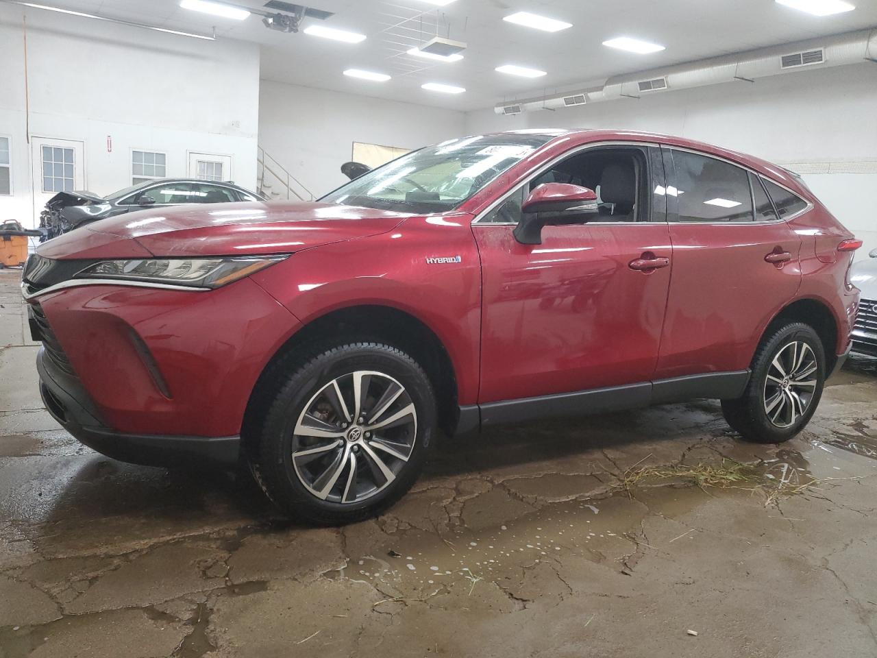 TOYOTA VENZA 2021