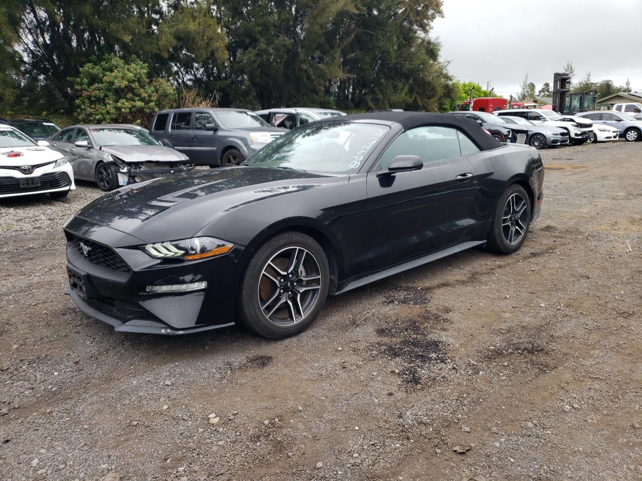 FORD MUSTANG 2023