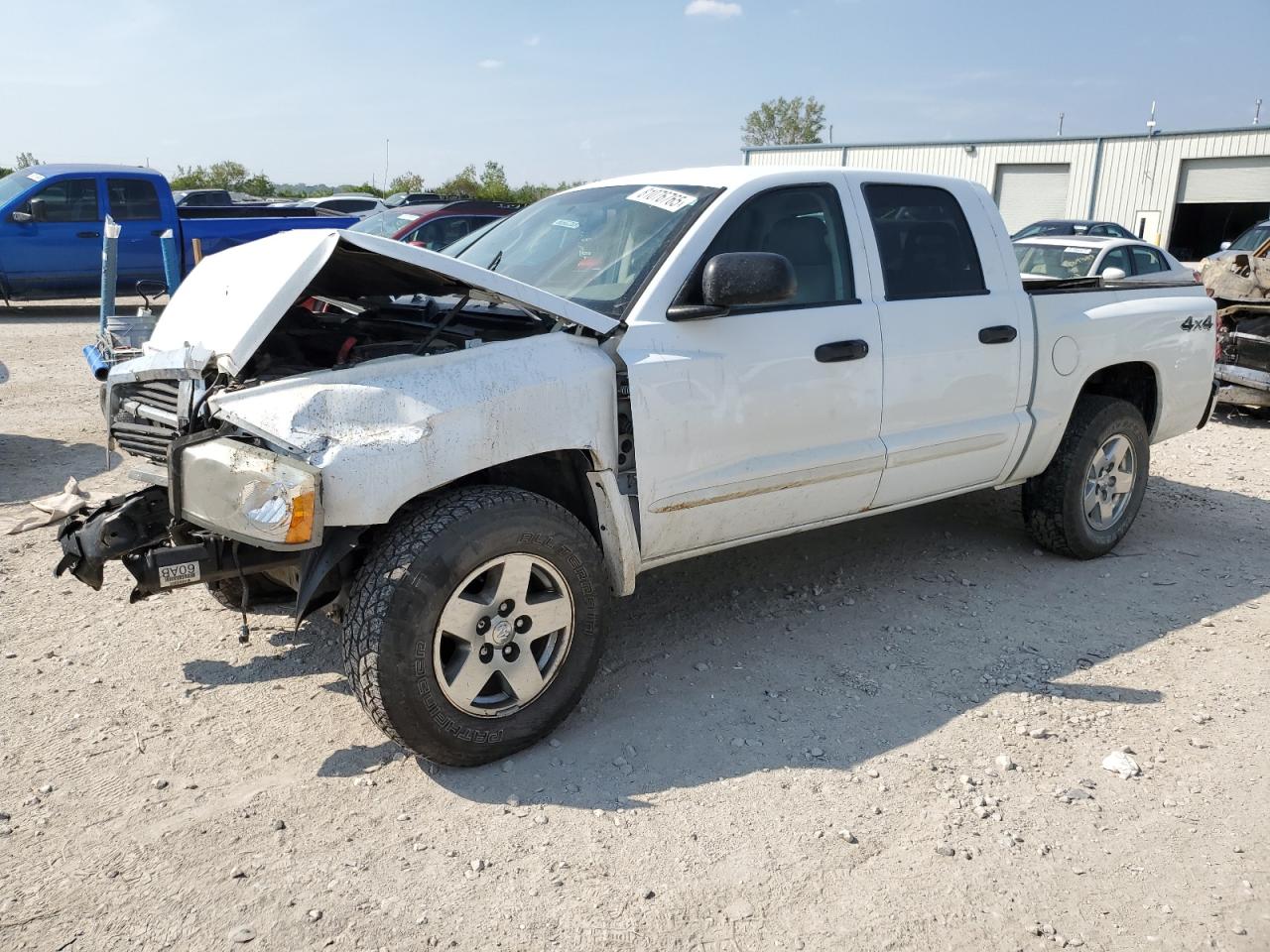 DODGE DAKOTA QUA 2005