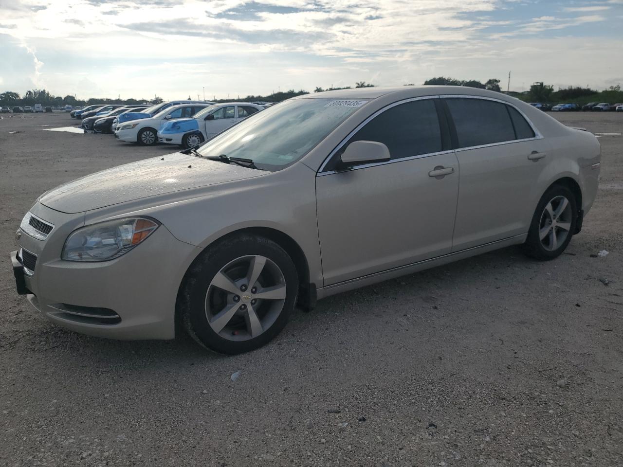 CHEVROLET MALIBU 1LT 2011