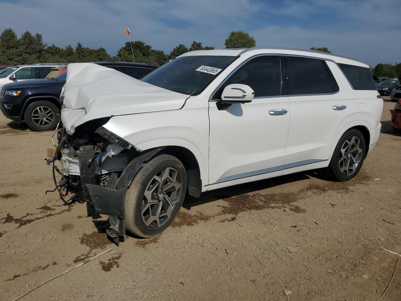 HYUNDAI PALISADE C 2021