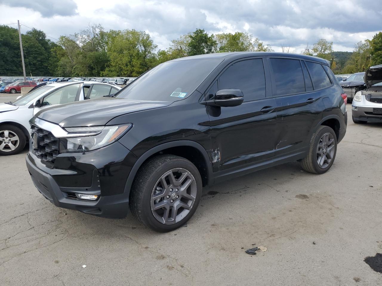 HONDA PASSPORT E 2025
