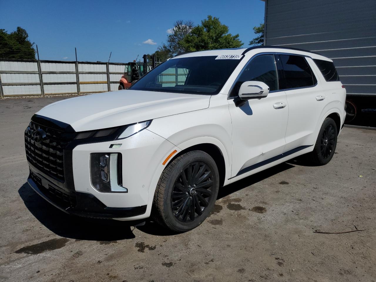 HYUNDAI PALISADE C 2024