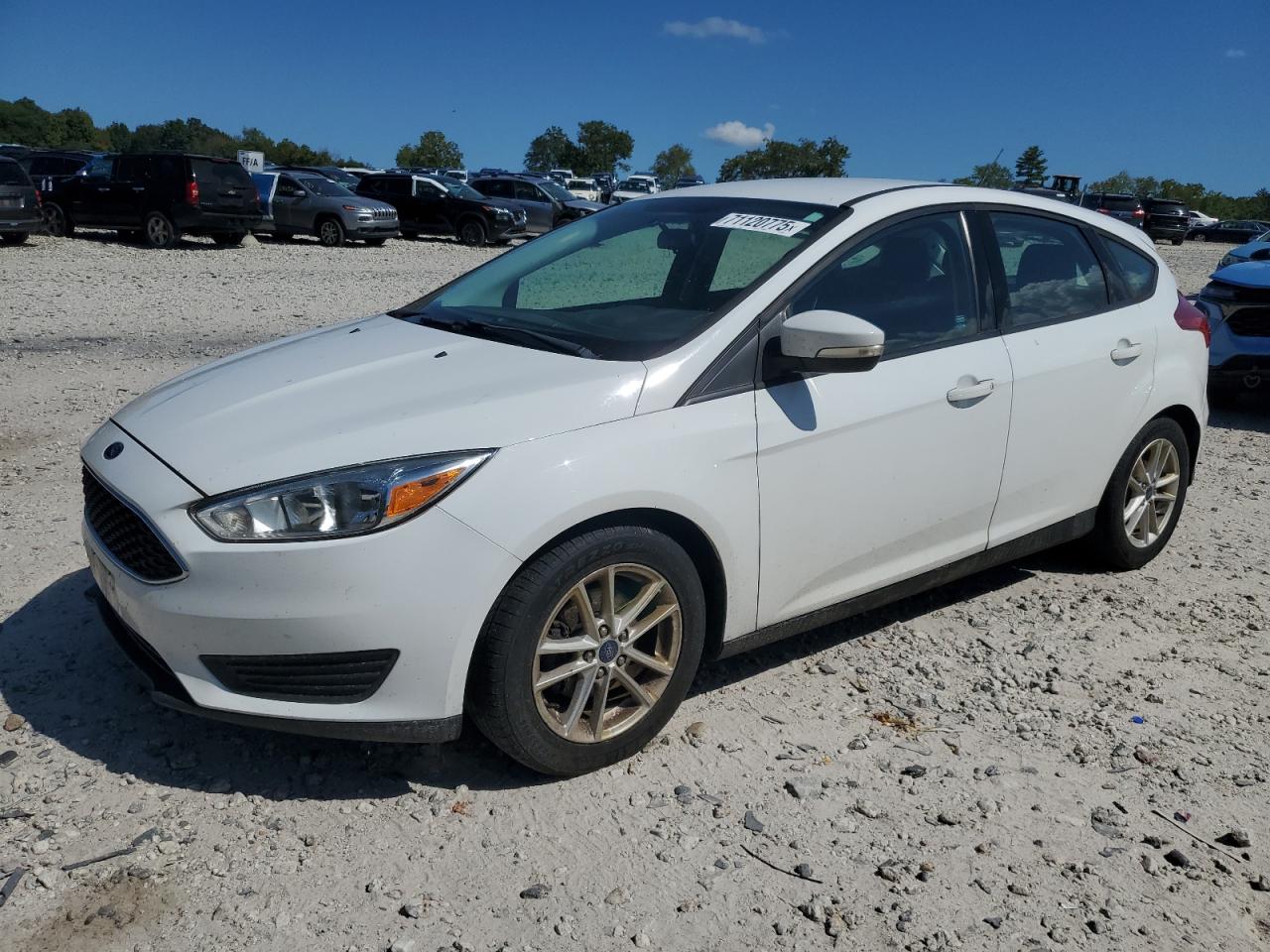 FORD FOCUS SE 2017