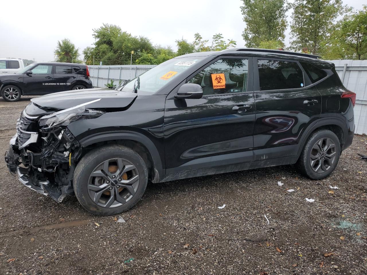 KIA SELTOS LX 2024