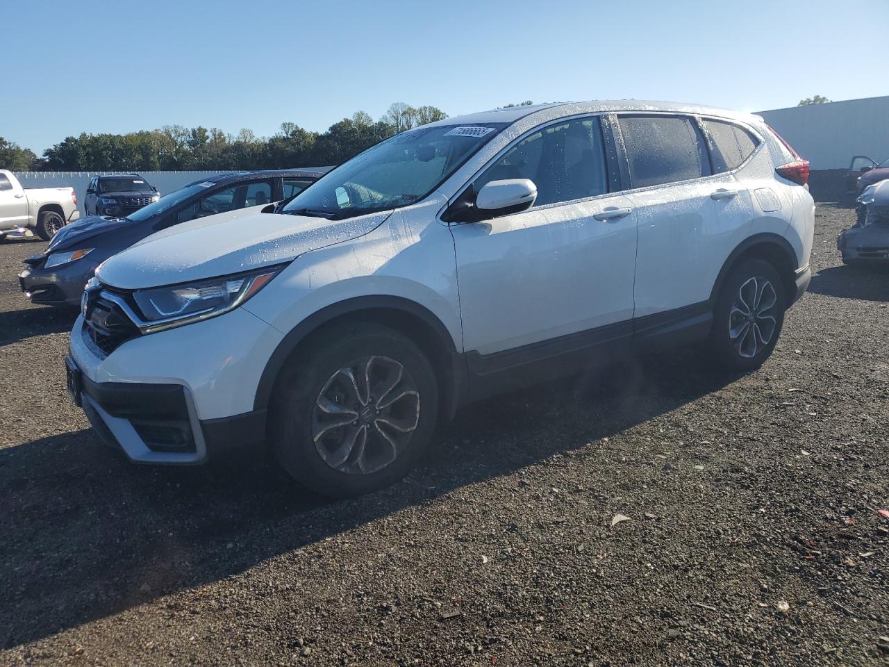 HONDA CR-V EXL 2021