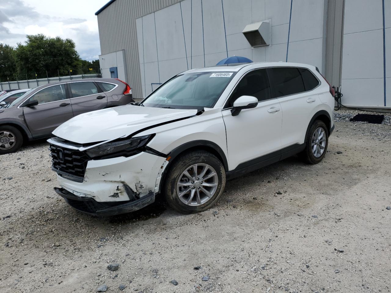HONDA CR-V EX 2025