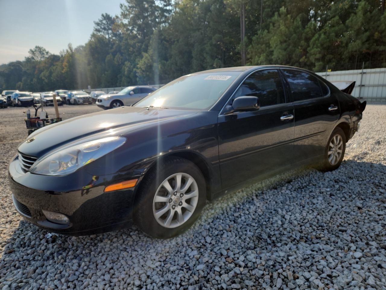LEXUS ES 300 2002