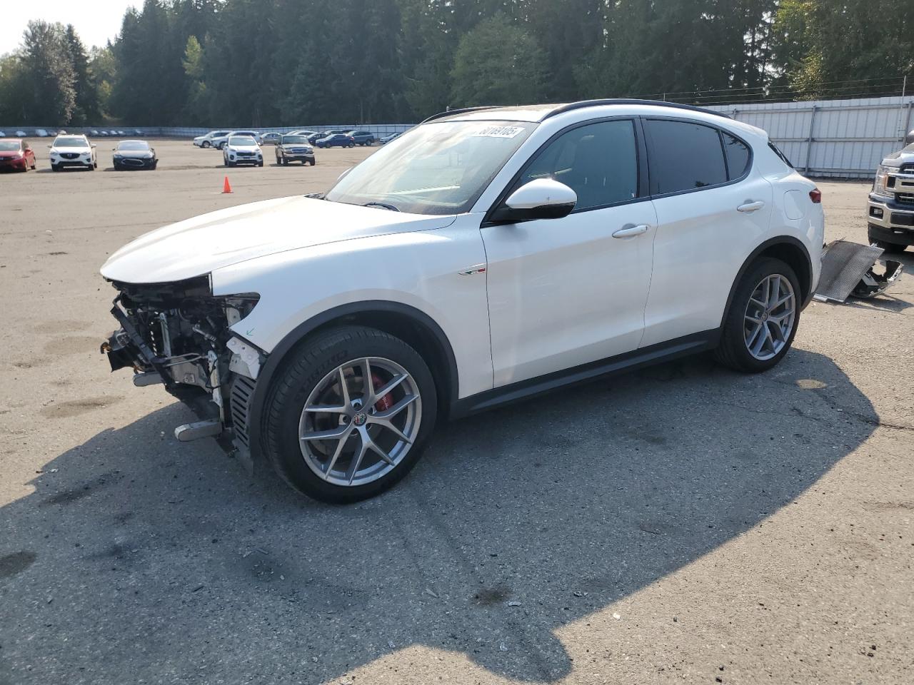 ALFA ROMEO STELVIO TI SPORT 2018